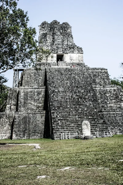 Tikal Harabeleri Maya — Stok fotoğraf