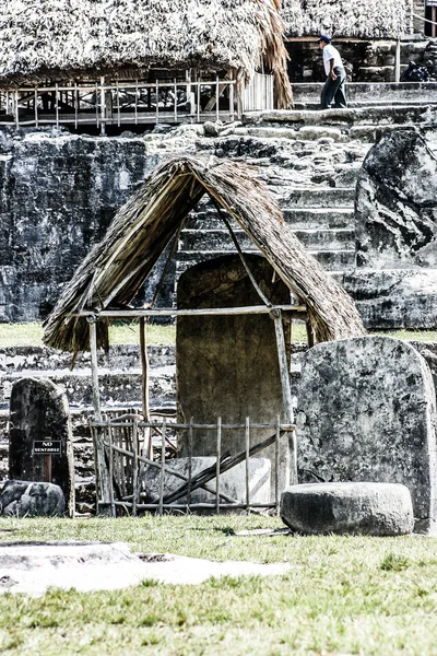 ティカルのマヤ遺跡 — ストック写真