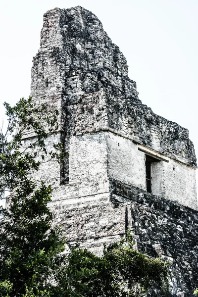 Ruínas maias de Tikal — Fotografia de Stock