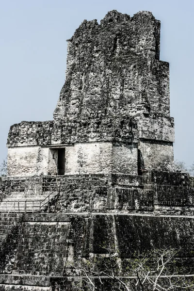 Tikal Harabeleri Maya — Stok fotoğraf