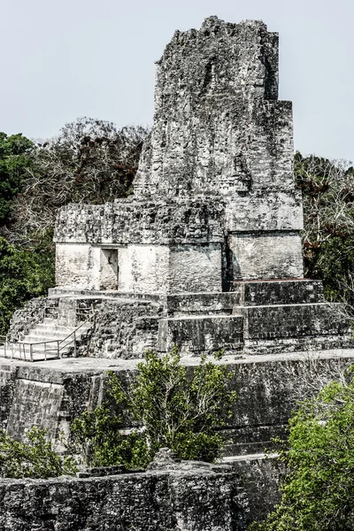 Tikal Harabeleri Maya — Stok fotoğraf