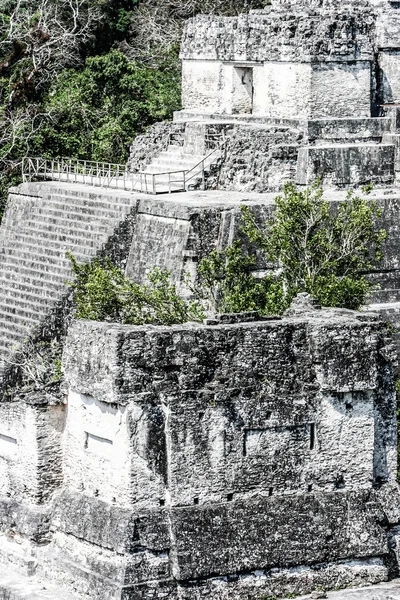 Mayan Ruins of Tikal — Stock Photo, Image