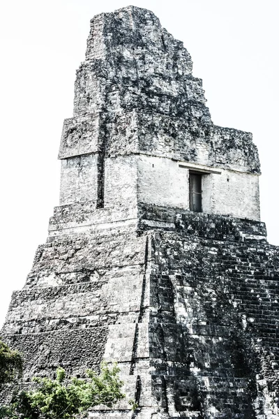 Ruiny Majów Tikal — Zdjęcie stockowe
