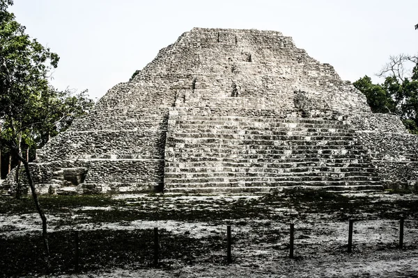 Tikal maja romjai — Stock Fotó