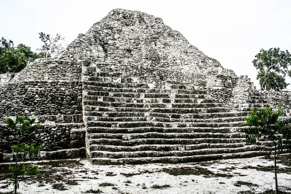 Tikal maja romjai — Stock Fotó