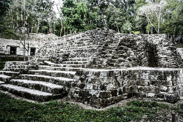 Tikal Harabeleri Maya — Stok fotoğraf