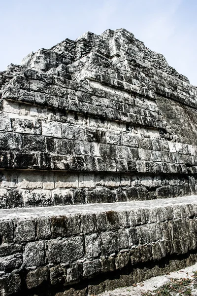 Maya ruïnes van tikal — Stockfoto