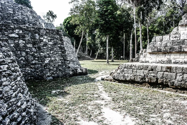 Mayan Ruins of Tikal — Stock Photo, Image