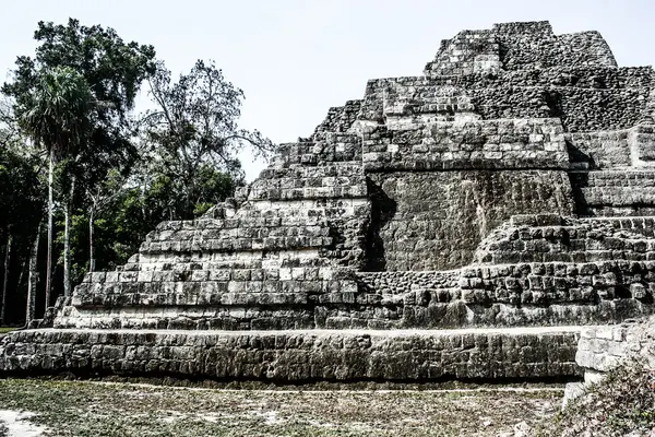 Tikal Harabeleri Maya — Stok fotoğraf