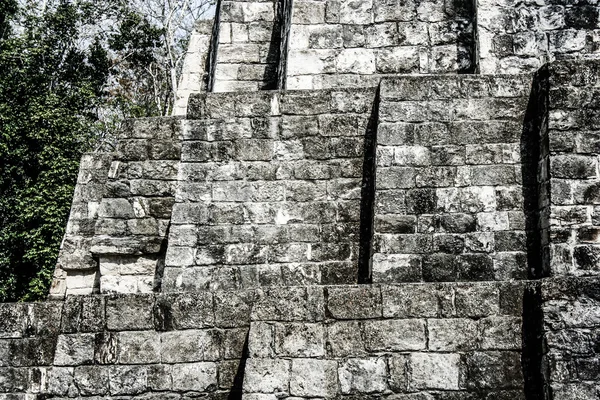 Ruinas Mayas de Tikal —  Fotos de Stock