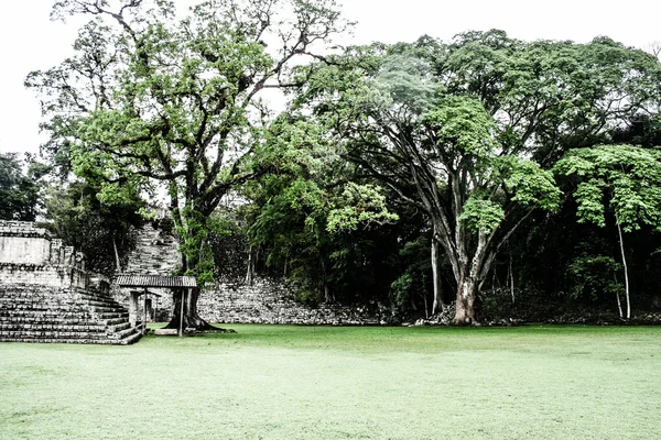 Templos em Copan Ruinas, Honduras — Fotografia de Stock
