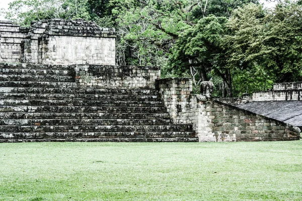 Templos en las Ruinas de Copán, Honduras — Foto de Stock