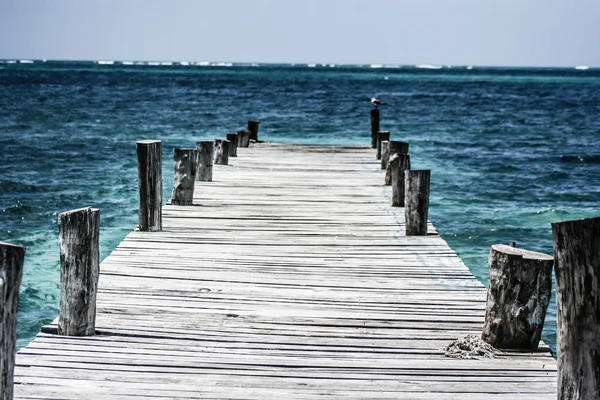 Zee reizen in de vakanties — Stockfoto