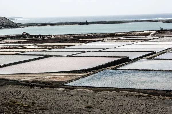 Larote salinas de la colorique Канарские острова — стоковое фото