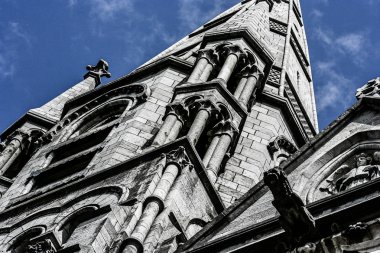 Cork City, İrlanda 'daki Saint Fin Barre Katedrali.