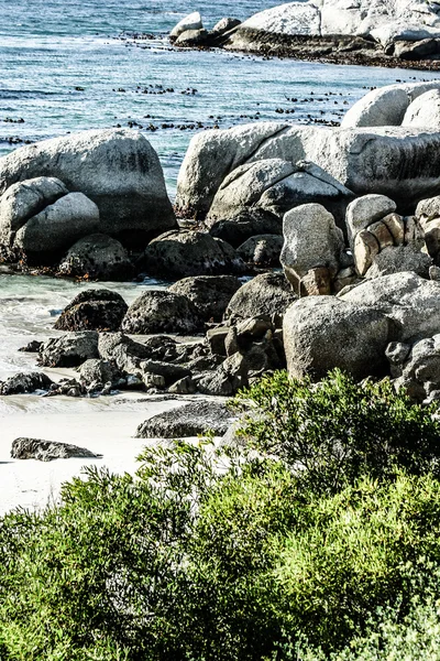 Boulders beach, Kapstaden Sydafrika — Stockfoto
