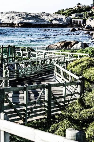 Głazy plaży, cape town Afryka Południowa — Zdjęcie stockowe