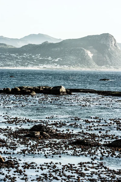 Głazy plaży, cape town Afryka Południowa — Zdjęcie stockowe