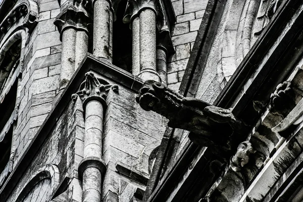 Saint Fin Barre's Cathedral in Cork city, ireland. — Stock Photo, Image