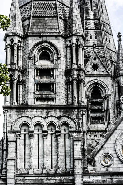 Saint Fin Barre's Cathedral in Cork city, ireland. — Stock Photo, Image