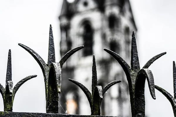 Saint Fin Barre's Cathedral in Cork city, ireland. — Stock Photo, Image