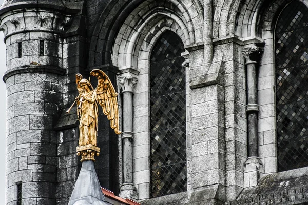 Saint Fin Barres katedral i staden Cork, Irland. — Stockfoto