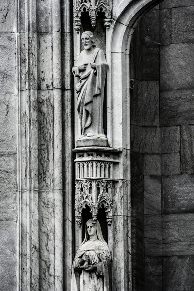 Saint Fin Barres katedral i staden Cork, Irland. — Stockfoto