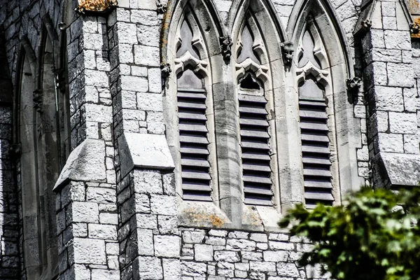 Saint Fin Barres katedral i staden Cork, Irland. — Stockfoto