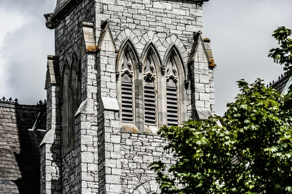 Kathedrale Saint Fin Barre in Cork, Irland. — Stockfoto