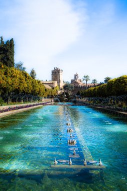 bahçeler de alcazar de los reyes cristianos Cordoba, İspanya