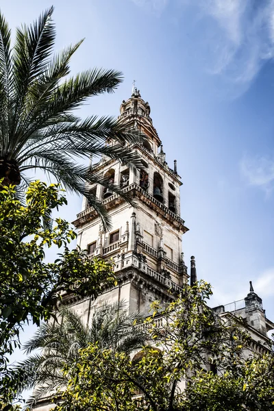 Mezquita (Mosque) Cathedral bell tower, Cordoba, Cordoba Province, Andalusia, Spain, Western Europe. — Stock Photo, Image