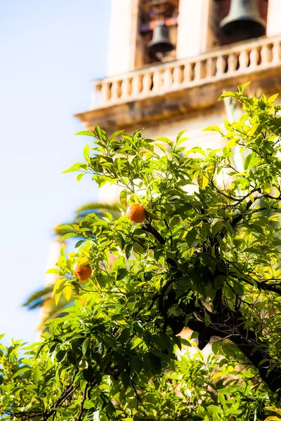 Torre do sino da catedral de Mezquita (Mesquita), Córdoba, província de Córdoba, Andaluzia, Espanha, Europa Ocidental . — Fotografia de Stock