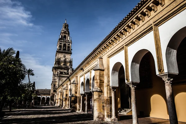 Mezquita (Mosque) Cathedral bell tower, Cordoba, Cordoba Province, Andalusia, Spain, Western Europe. — Stock Photo, Image