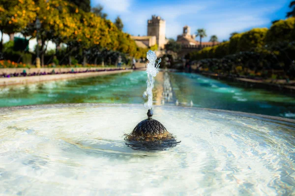 Gardens at the Alcazar de los Reyes Cristianos in Cordoba, Spain — Stock Photo, Image