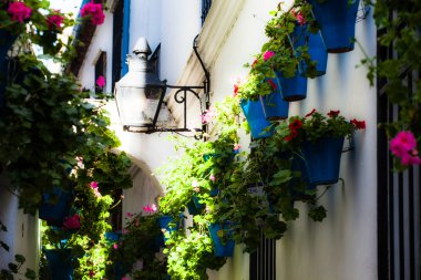 dar, Arnavut kaldırımlı sokakları ve güzel evleri, castillo de la frontera andalucia Güney İspanya İspanyol pueblo