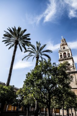 Endülüs (cami) Katedral çan kulesi, cordoba, cordoba Eyaleti, Endülüs, İspanya, Batı Avrupa.