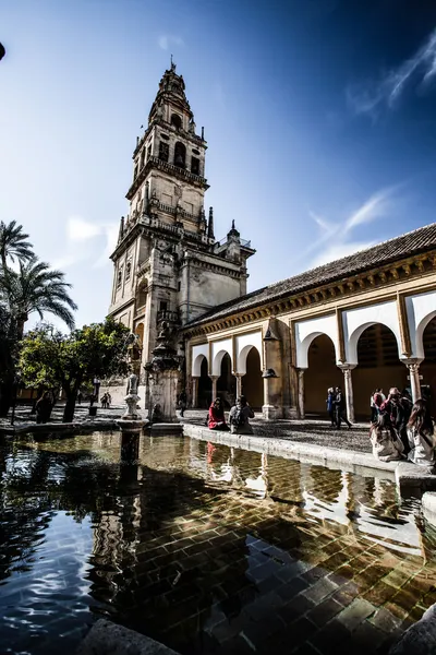 Mezquita (Mosque) Cathedral bell tower, Cordoba, Cordoba Province, Andalusia, Spain, Western Europe. — Stock Photo, Image