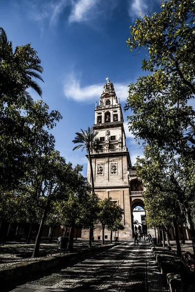 Campanario de la Mezquita, Córdoba, Provincia de Córdoba, Andalucía, España, Europa Occidental . — Foto de Stock