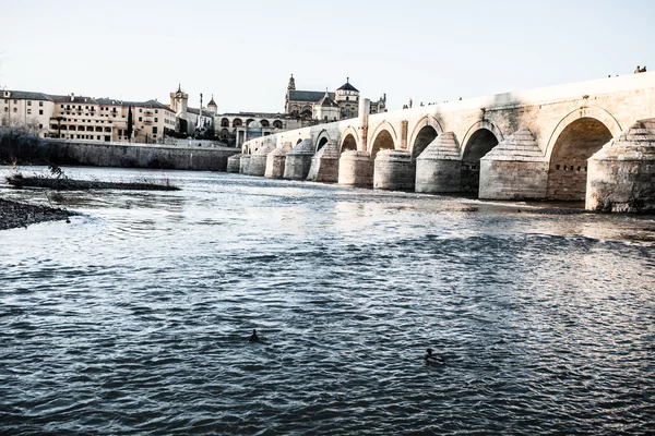 Puente romano en Córdoba — Foto de Stock