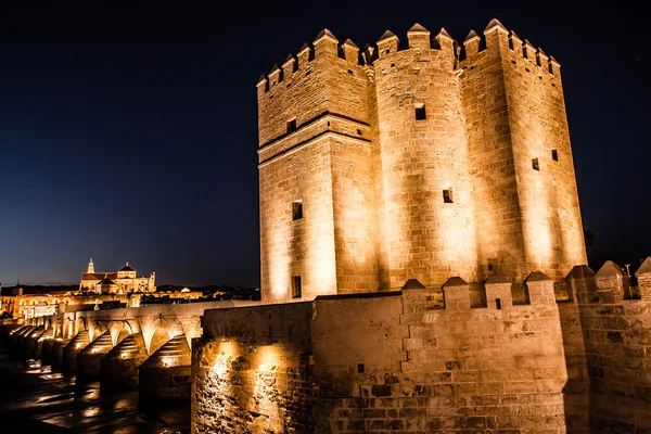 Poglądy wieża calahorra, mostu rzymskiego i meczetu w Kordobie (Hiszpania), o nazwie na listę Światowego Dziedzictwa UNESCO zabytków. — Zdjęcie stockowe