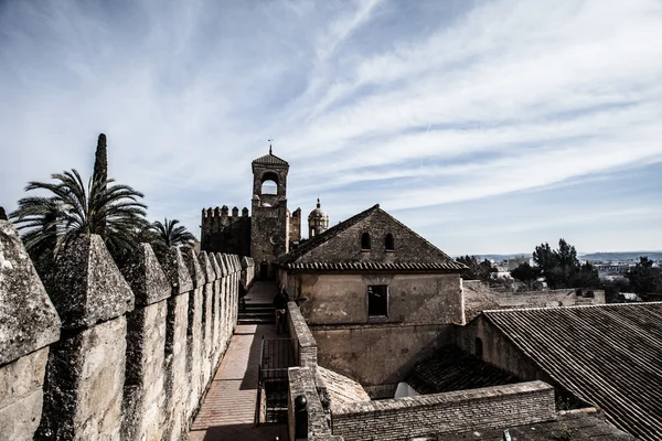 Syn på alcazar och katedralen moskén i cordoba, Spanien — Stockfoto
