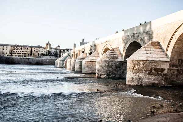 Římský most v Córdobě — Stock fotografie