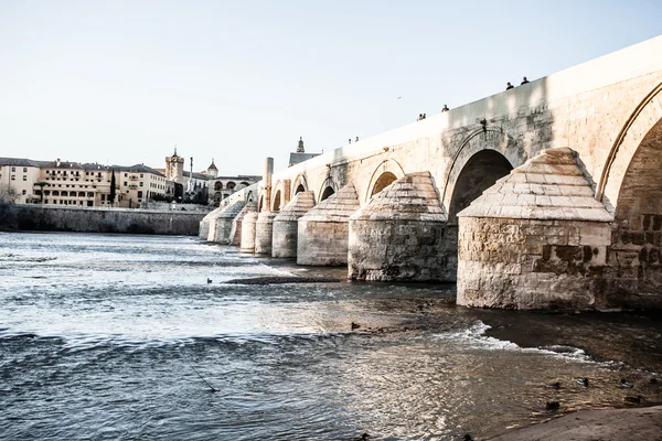 Ponte romana em Córdoba — Fotografia de Stock