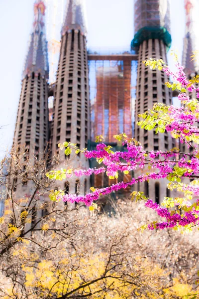 Sagrada Familia โดย Antoni Gaudi ในบาร์เซโลนา สเปน — ภาพถ่ายสต็อก