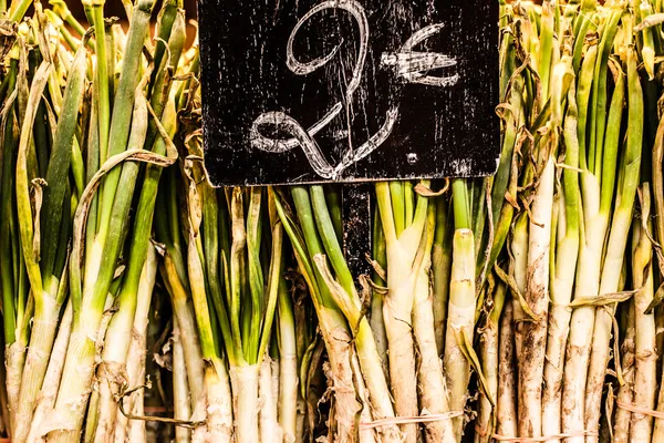 Une rangée soignée d'oignons de printemps conditionnés pour la vente au marché . — Photo