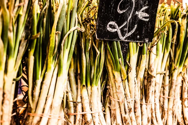 A neat row of spring onions bundled for sale at the market. — Stock Photo, Image
