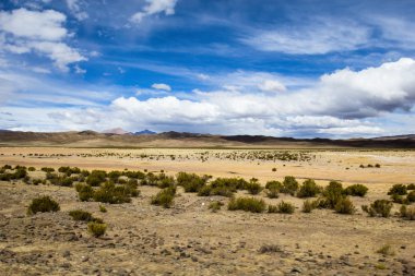 Dağları Bolivya And Dağları'nda tarih çöl