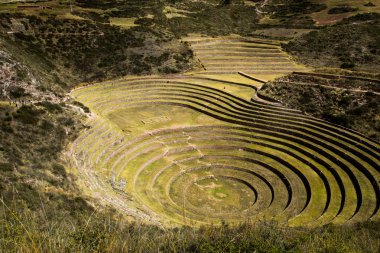 Peru, moray, eski İnka dairesel teraslar. muhtemel Incas laboratuvar tarım olduğunu