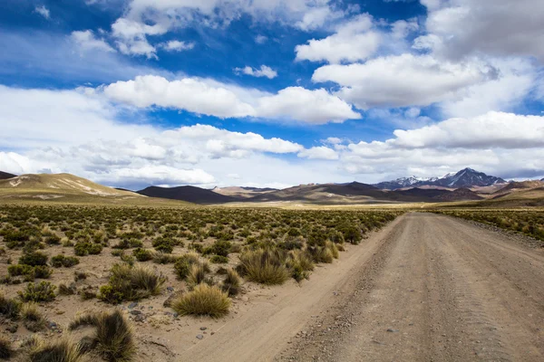 在玻利维亚的安第斯山脉的高原沙漠 — 图库照片