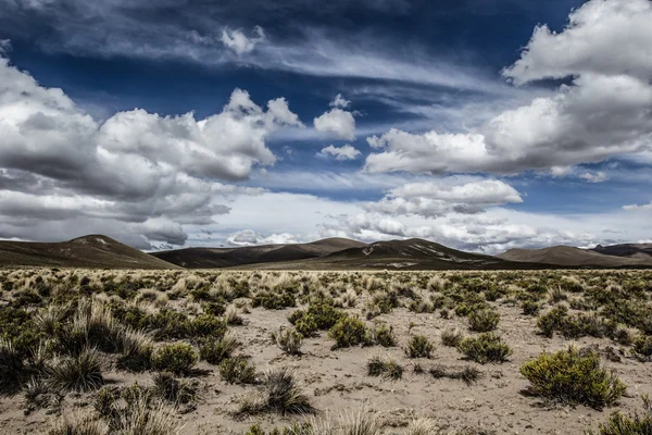 Een woestijn op de altiplano van de andes in bolivia — Stockfoto